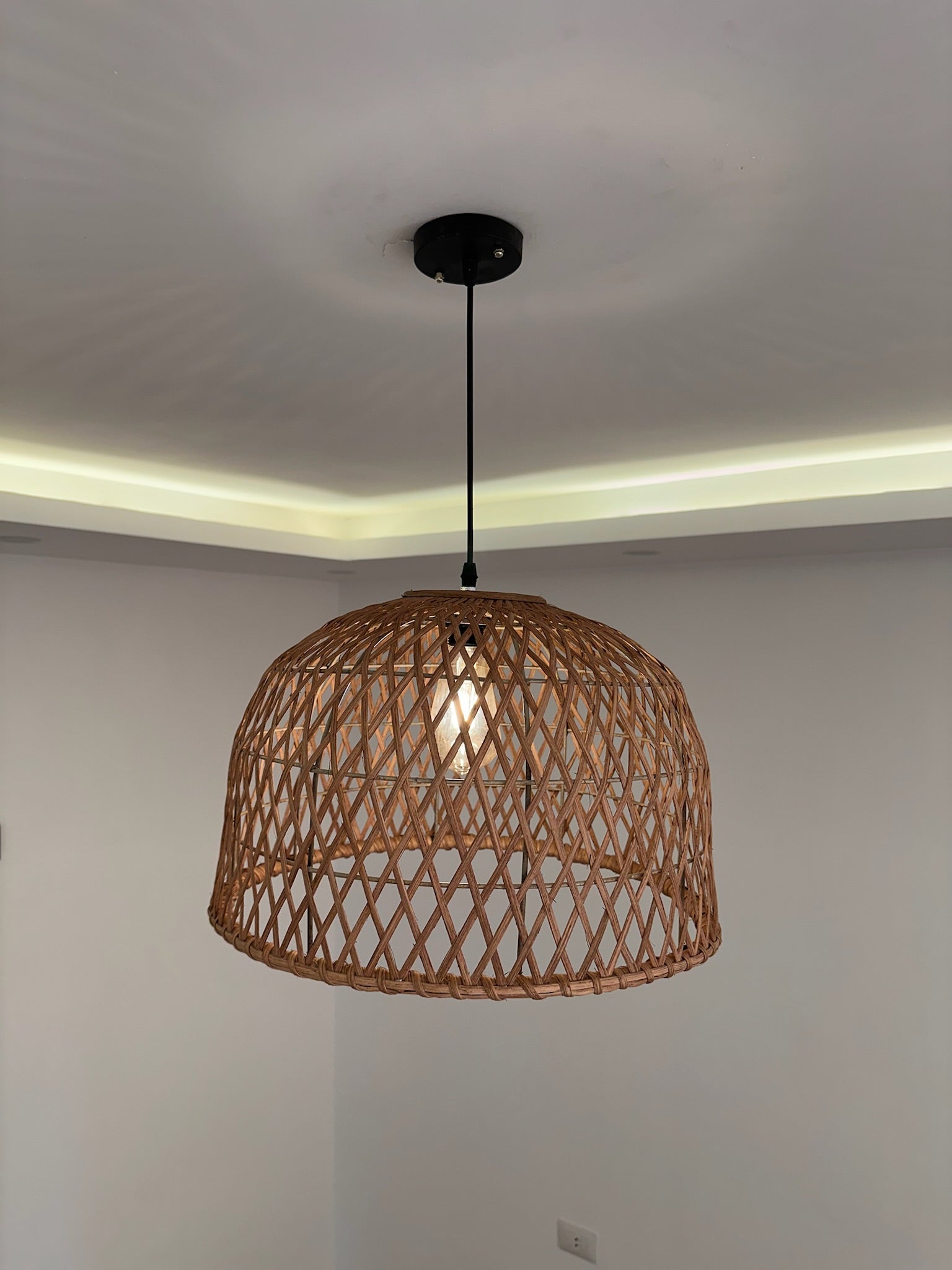 Bamboo Ceiling Lamp BCL-04