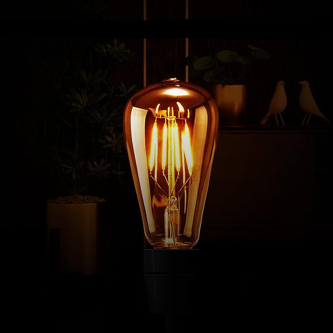 Light Bulb
